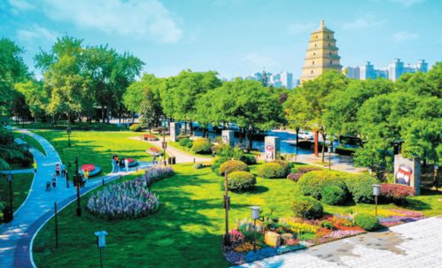 資訊丨西安這些景區近日恢復開放