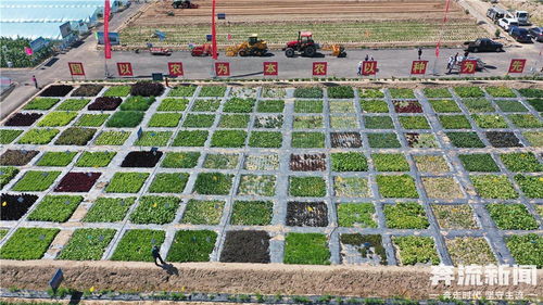 蘭州市榆中縣農業技術推廣中心獲評 全國五星