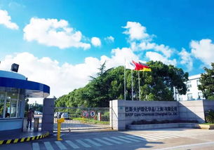 百億級產(chǎn)業(yè)項目落戶金山,背后的 門道