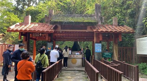 武夷山今天恢復(fù)開放 全國醫(yī)護人員免費,還有這些優(yōu)惠政策