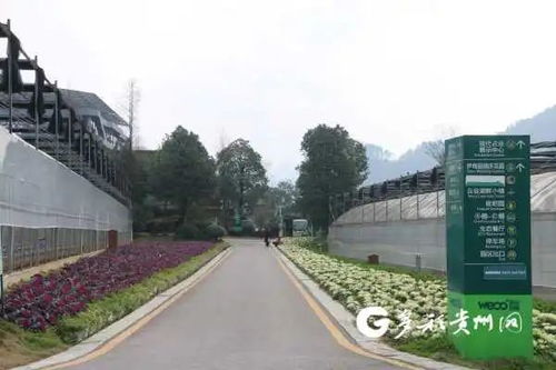 貴州多個景區(qū)陸續(xù)開園，游覽時(shí)園區(qū)管理服務(wù)與注意事項(xiàng)詳解