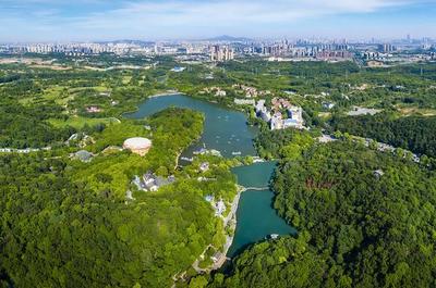 草地露營、國潮音樂節、少兒音樂匯 南京珍珠泉度假區假期精彩紛呈，盡顯卓越園區管理服務